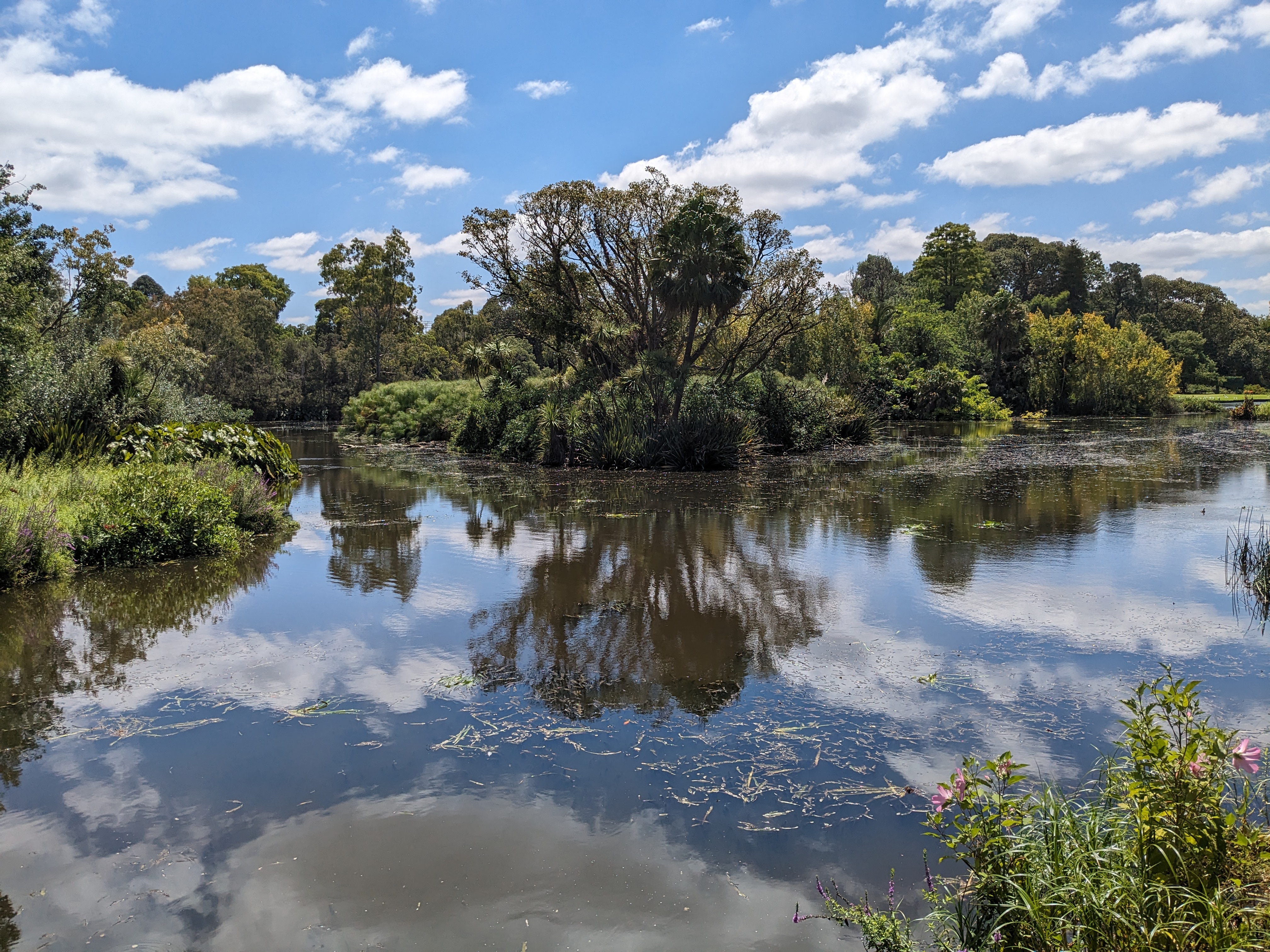 botanic garden